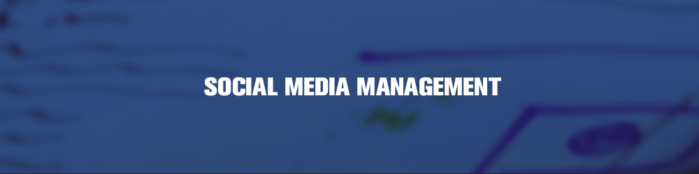 Social Media Management